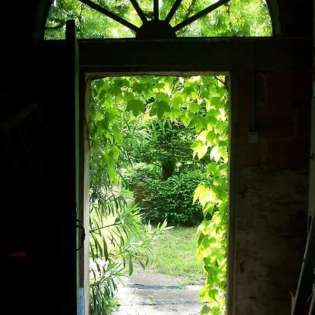 Chambres D'hotes Domaine Les Massiots Отель типа 